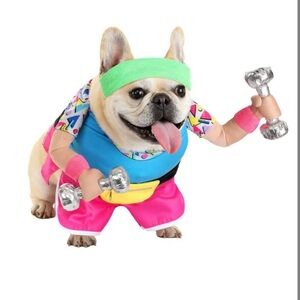 Colorful Dog Workout Costume